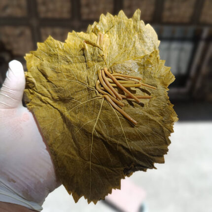 Salamura Üzüm Yaprağı 1 KG - Salamura